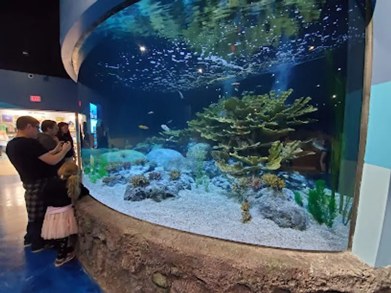 Living Shores Aquarium
