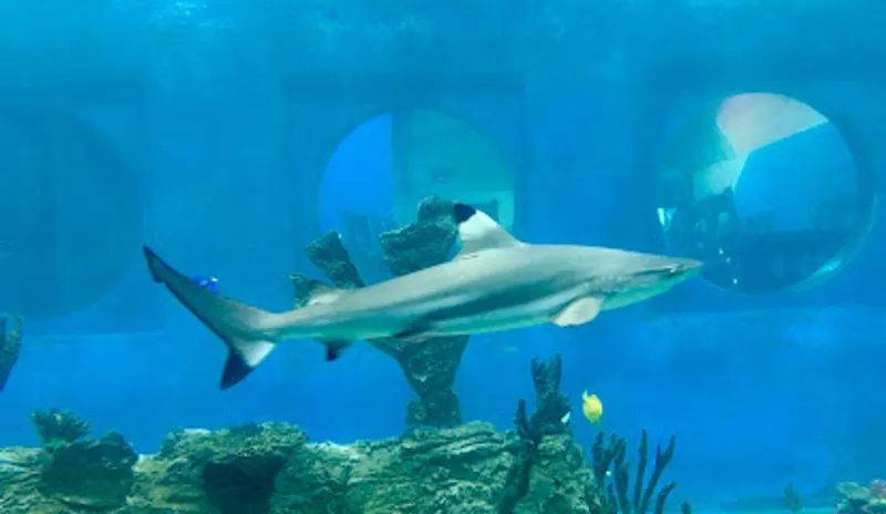 East Idaho Aquarium