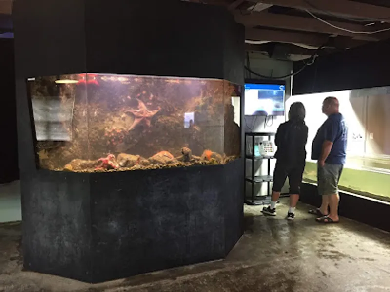 MaST Center Aquarium