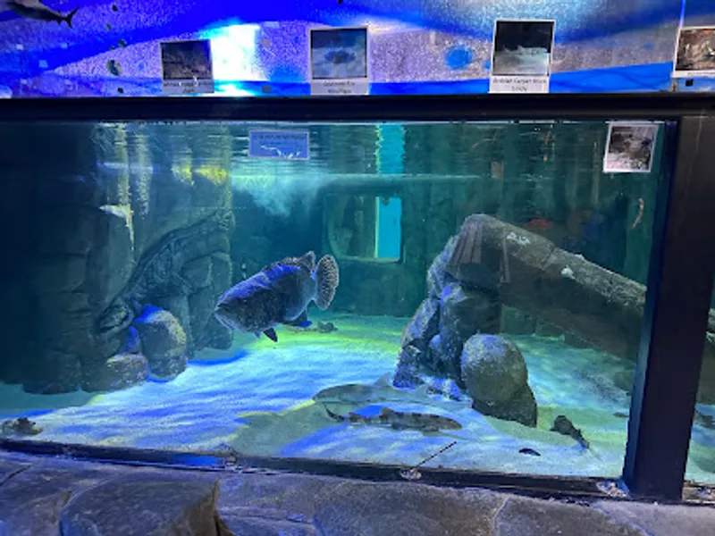 Aquarium of Boise