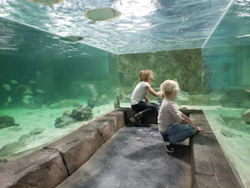 NorCal Aquarium and Wildlife