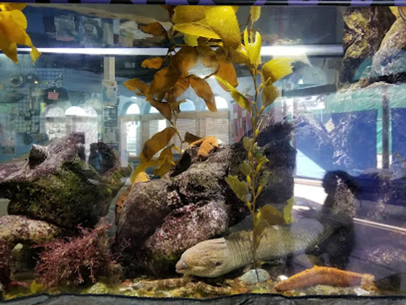 Heal the Bay Aquarium
