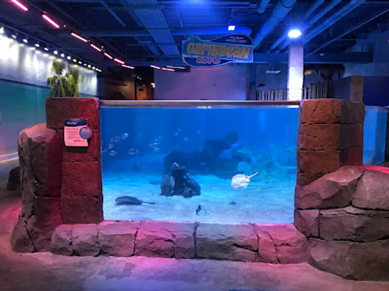 One World Interactive Aquarium
