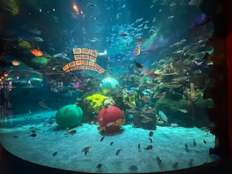 The Aquarium at Silverton Casino