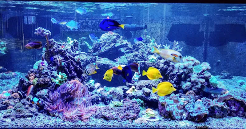 Aquatic Treasures