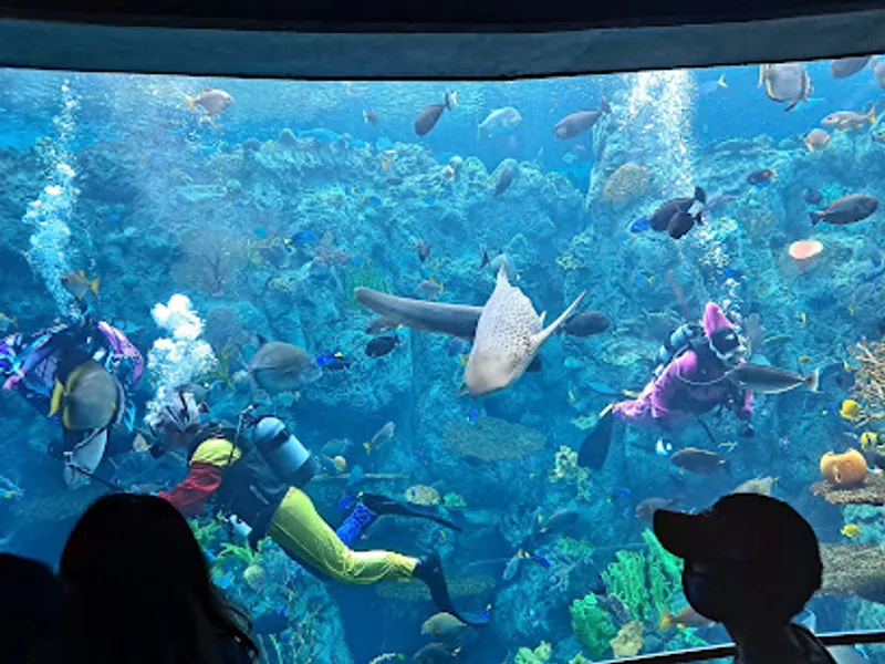 Aquarium of the Pacific