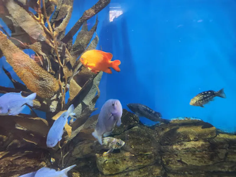 Cabrillo Marine Aquarium