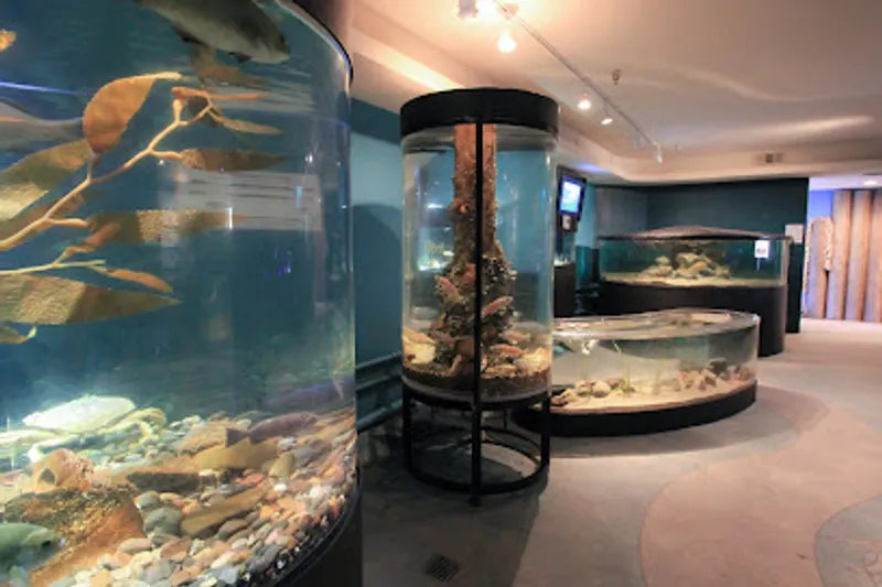 Central Coast Aquarium
