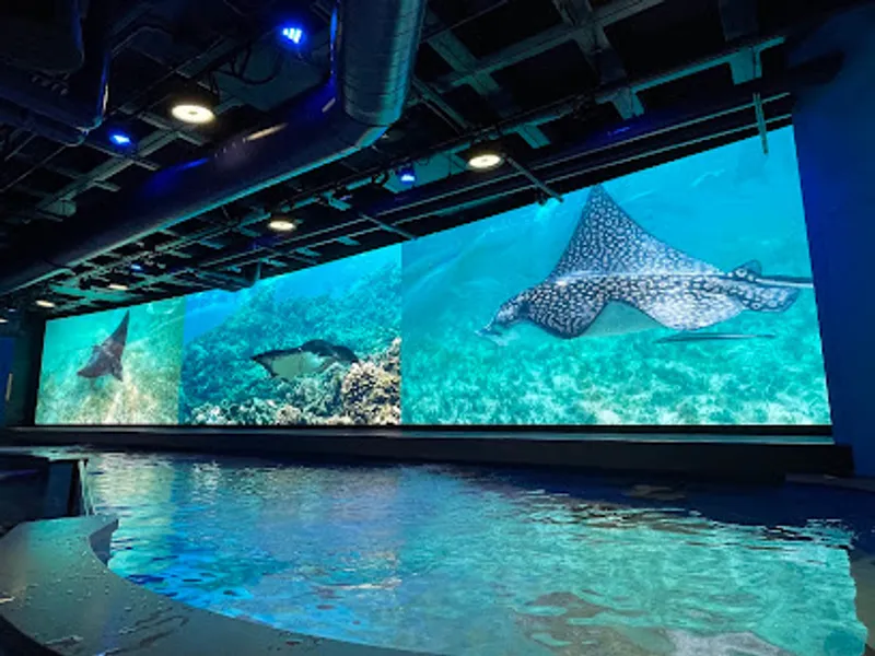 Audubon Aquarium