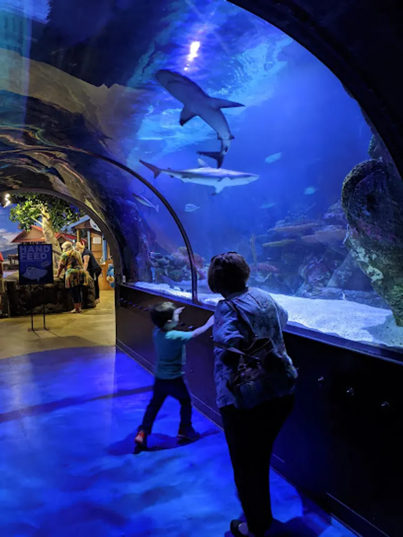 Shreveport Aquarium