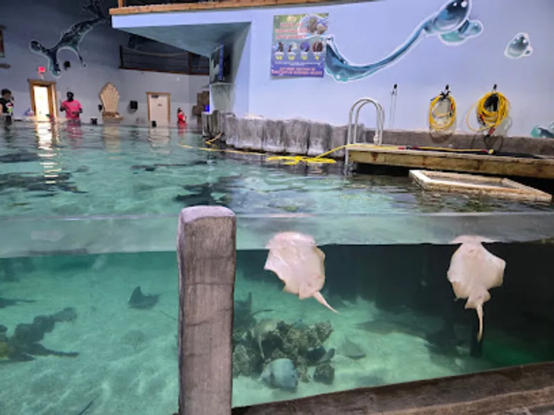 Houston Interactive Aquarium & Animal Preserve
