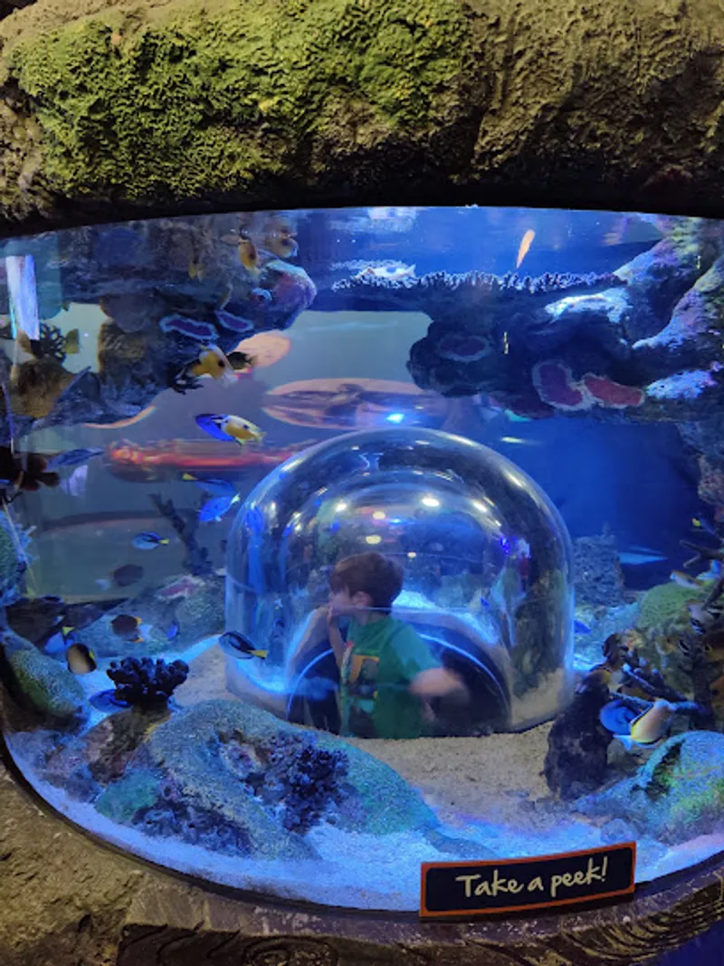 SEA LIFE Grapevine Aquarium