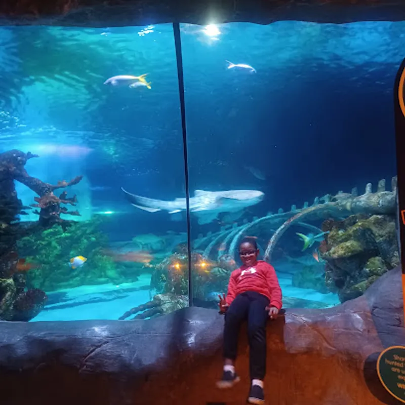 SEA LIFE Arizona Aquarium