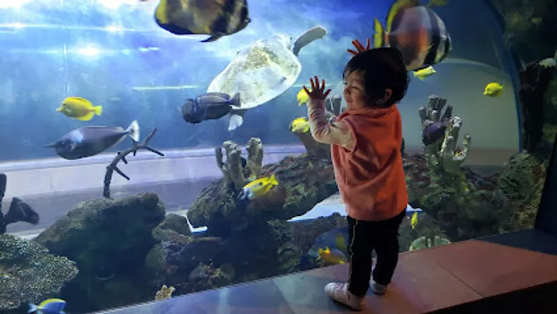 Wildlife World Zoo, Aquarium & Safari Park