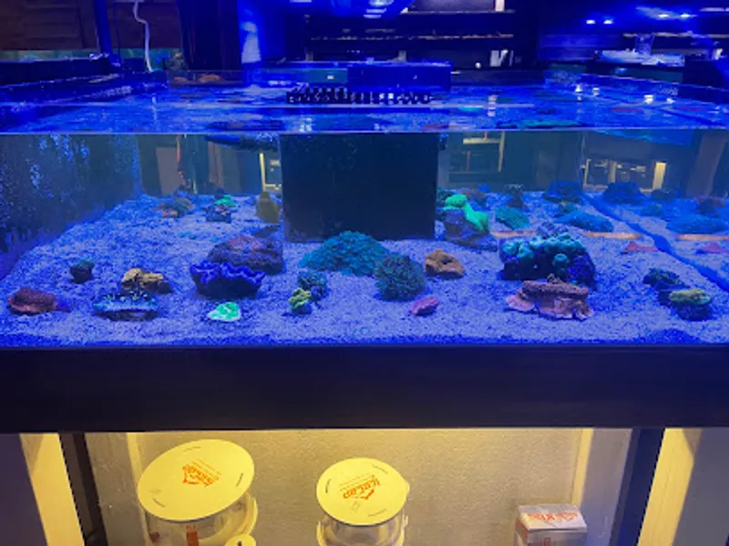 Kona Reef Az - Phoenix