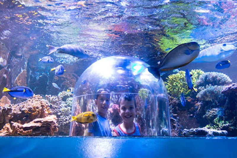Butterfly House & Aquarium