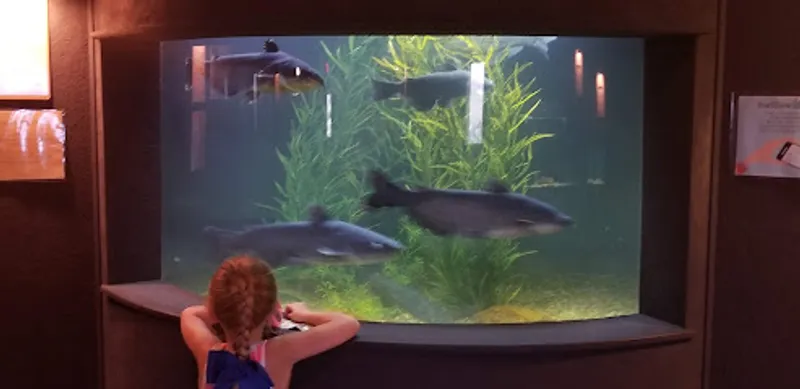 Medicine Park Aquarium and Natural Sciences Center