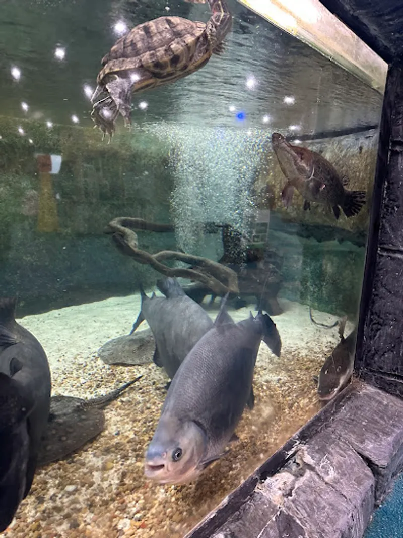 Blue Zoo Aquarium Oklahoma City