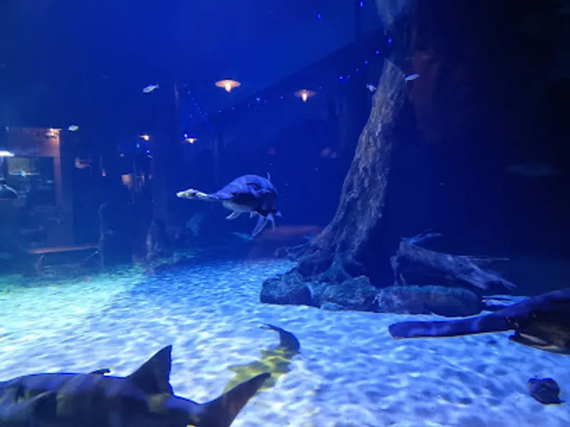 Oklahoma Aquarium