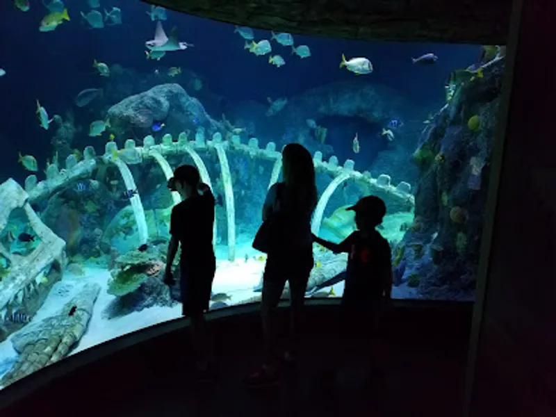SEA LIFE Kansas City Aquarium