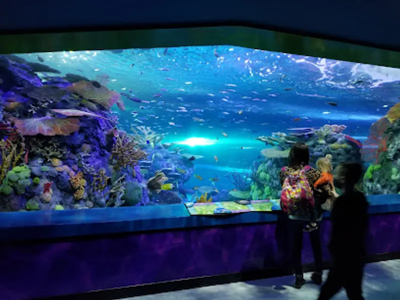 Aquarium At The Boardwalk