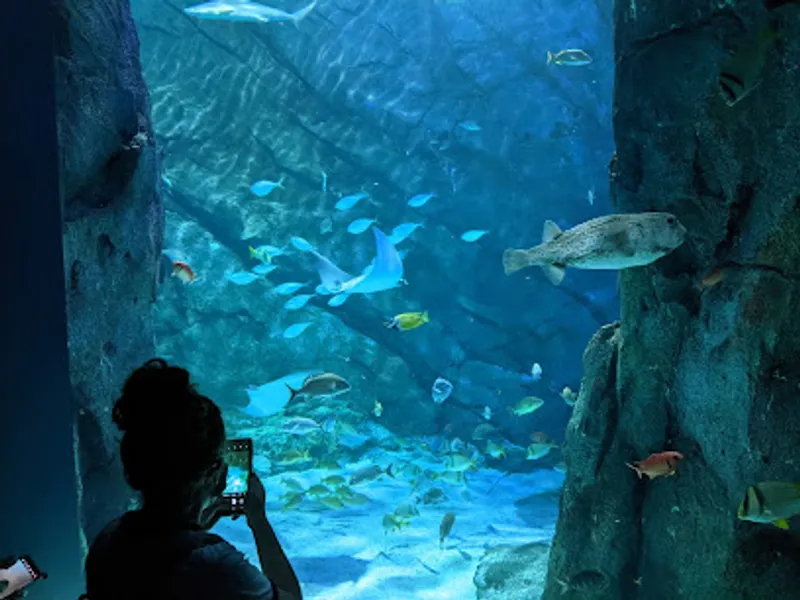 St. Louis Aquarium at Union Station