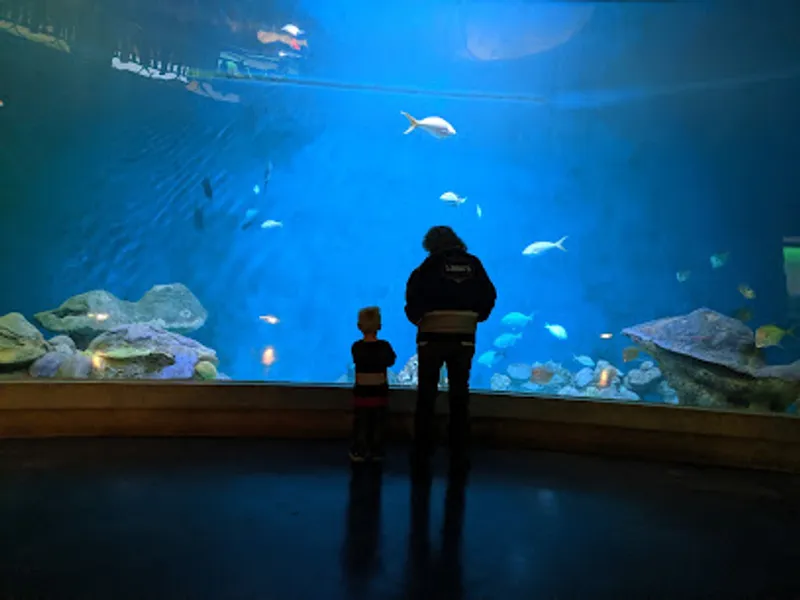 National Mississippi River Museum & Aquarium