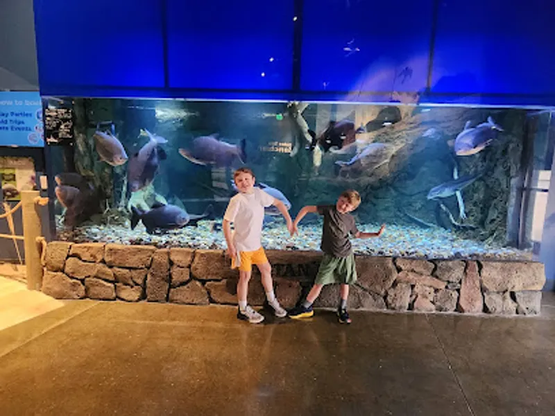 Blue Zoo Aquarium Des Moines