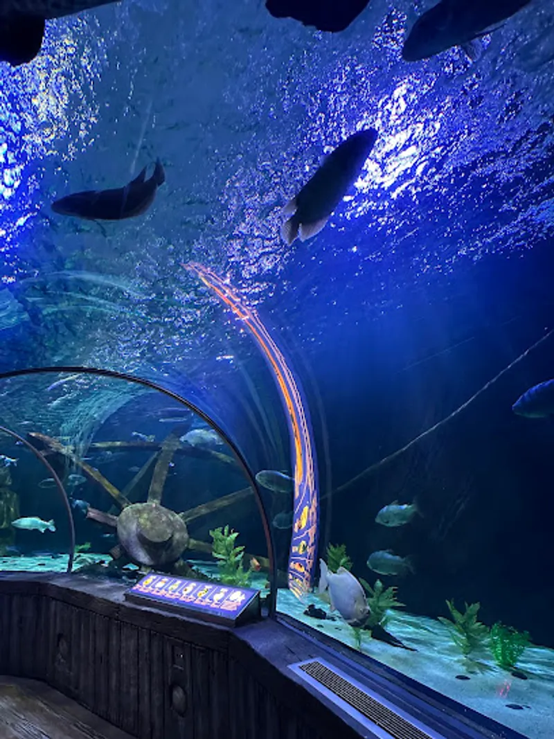 SEA LIFE at Mall of America