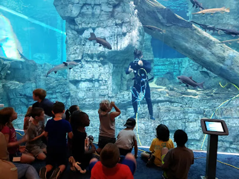 Discovery World's Reiman Aquarium