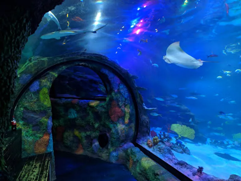 SEA LIFE Michigan Aquarium