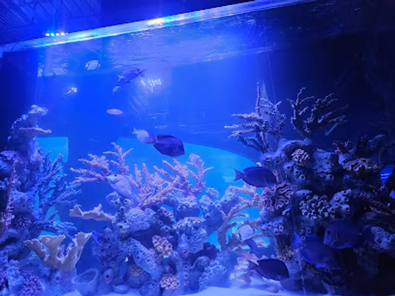 LegaSea Aquarium & The Reptarium