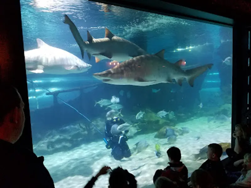 Greater Cleveland Aquarium