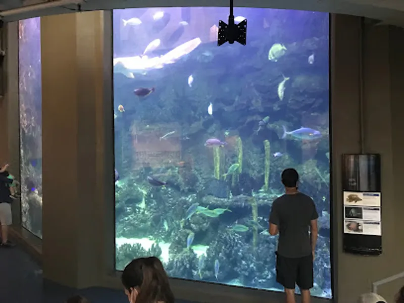 Pittsburgh Zoo & Aquarium