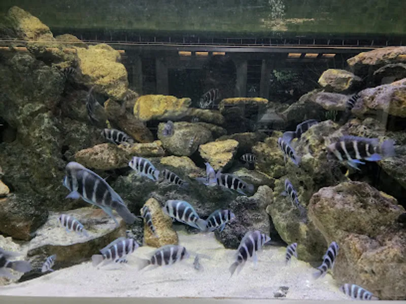 Belle Isle Aquarium