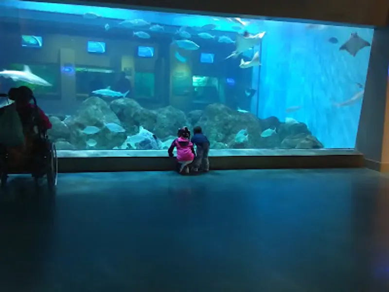 Toledo Zoo Aquarium