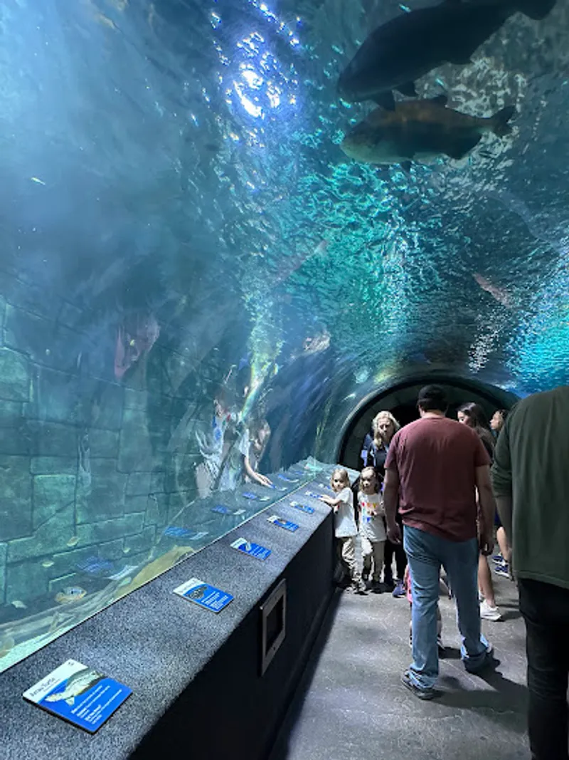 Newport Aquarium