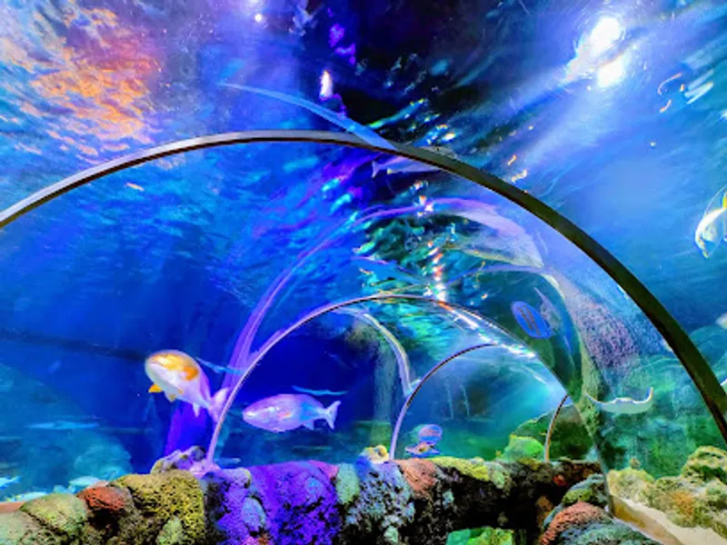 SEA LIFE Charlotte-Concord