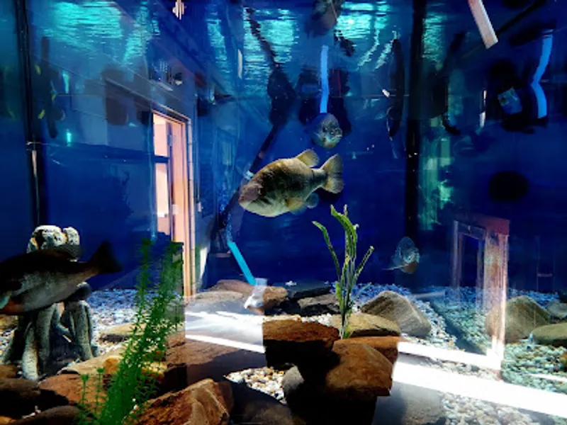 Appalachian Rivers Aquarium