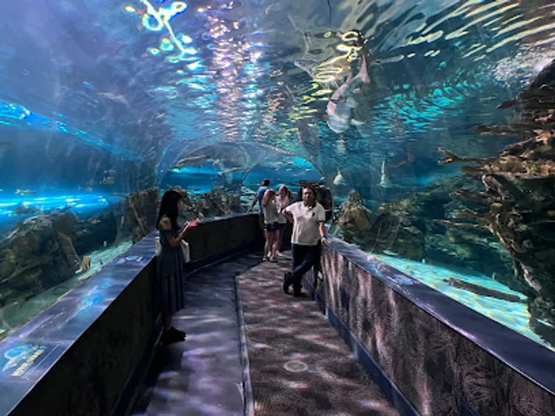 Ripley's Aquarium of the Smokies