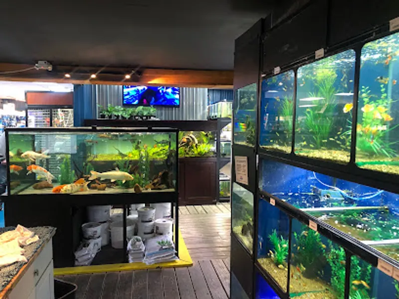 The Reef Aquarium Shop