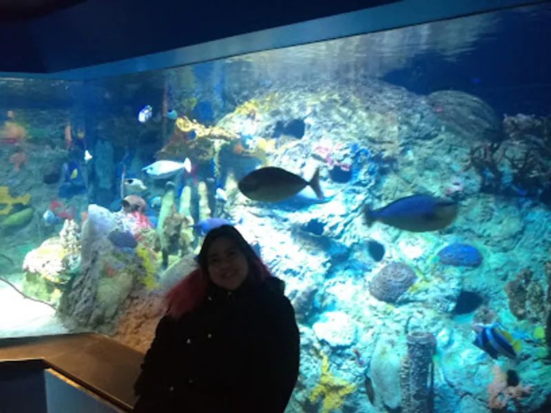 Indianapolis Zoo
