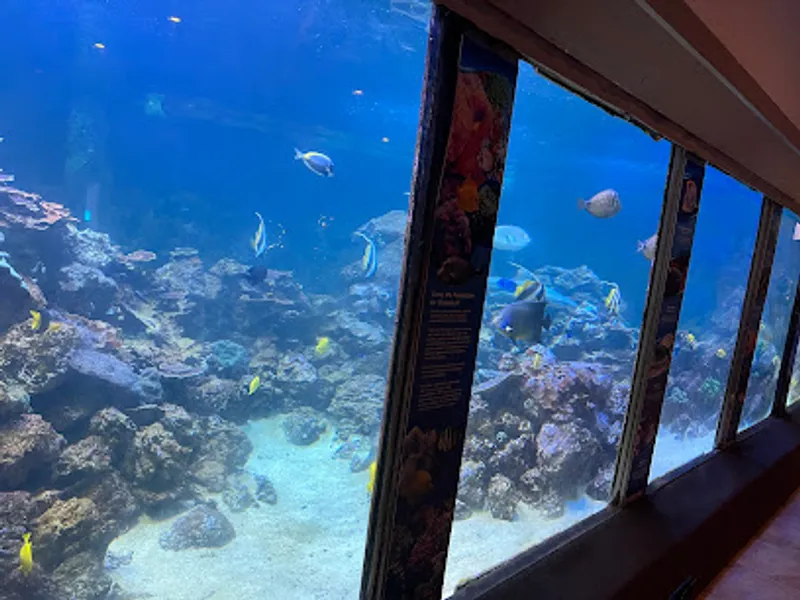 Gulfarium Marine Adventure Park