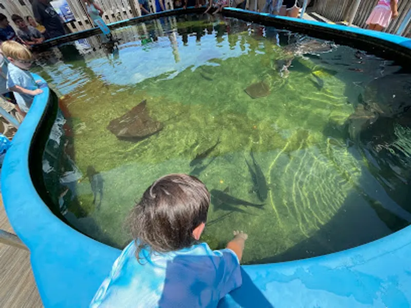 Alabama Aquarium at the Dauphin Island Sea Lab
