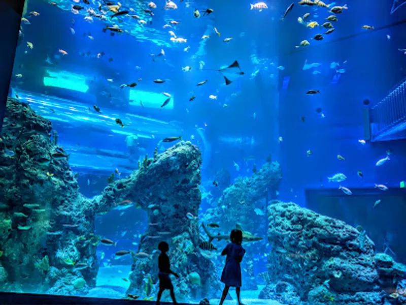 Mississippi Aquarium