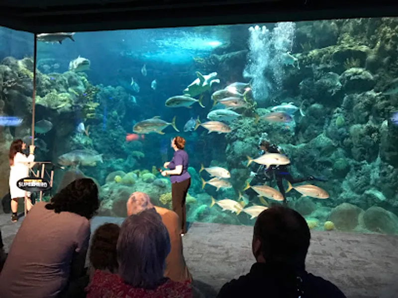 The Florida Aquarium