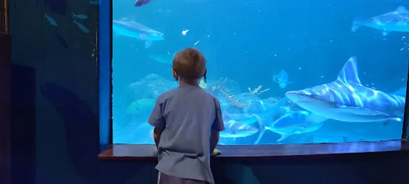 Florida Keys Aquarium Encounters