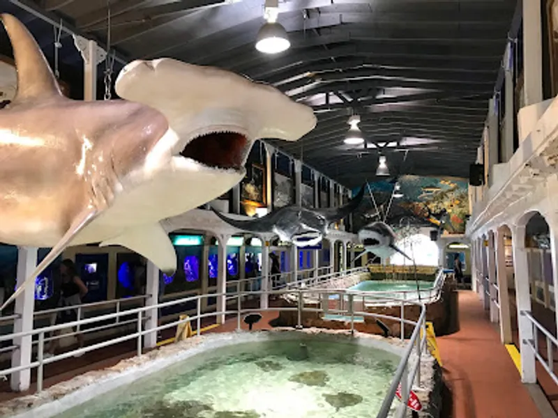 Key West Aquarium