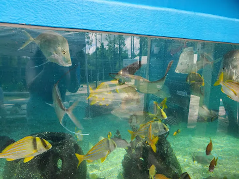 St. Augustine Aquarium