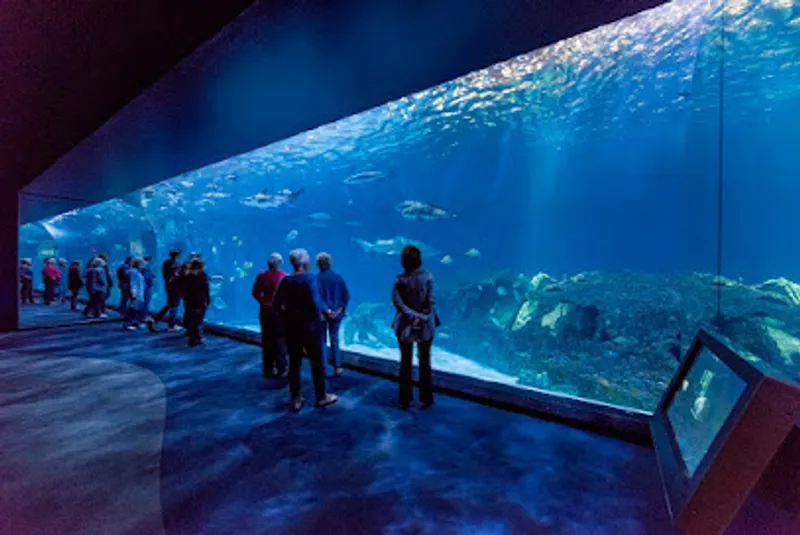 North Carolina Aquarium on Roanoke Island